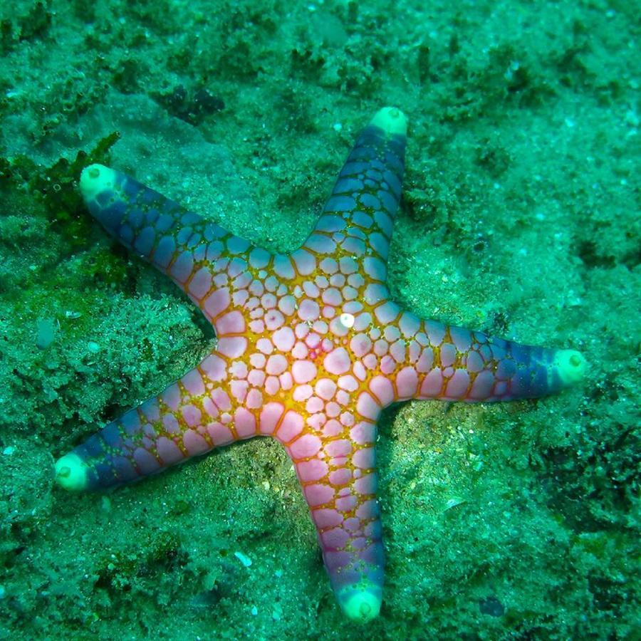 Seadina Coral Home Matara Luaran gambar